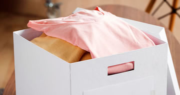 Apparel & Fashion