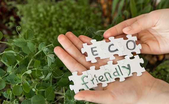 Eco-Friendly & Sustainable Options